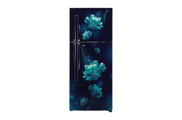 LG 260 L 3 star Double Door Refrigerator (GL-T292RBCX.ABCZEBN)