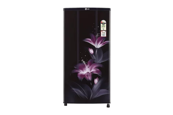 LG 185 L Fastest In Ice Making Single Door Refrigerator (GL-B181RPGB.APGZEBN)