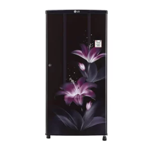 LG 185 2 Star Single Door Refrigerator (GL-B181RPGC.APGZEBN)