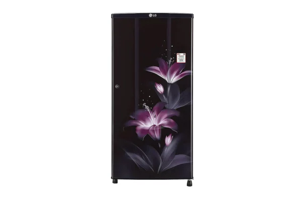 LG 185 2 Star Single Door Refrigerator (GL-B181RPGC.APGZEBN)