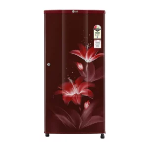 LG 185 L 2 Star Single Door Refrigerator (GL-B181RRGC.ARGZEBN)