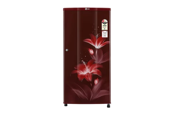 LG 185 L 2 Star Single Door Refrigerator (GL-B181RRGC.ARGZEBN)