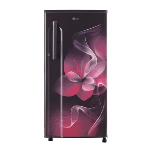 LG 188 L Refrigerator with Fast Ice Maker (GL-B191KPDD.DPDZPST)