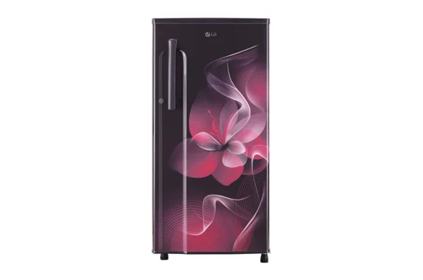 LG 188 L Refrigerator with Fast Ice Maker (GL-B191KPDD.DPDZPST)