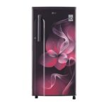 LG 188 L 3 Star Single Door Refrigerator With Smart Invertor Compressor (GL-B191KPDX.APDZEBN)