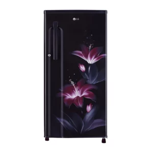 LG 188 L 3 Star Single Door Refrigerator (GL-B191KPGD.APGZEBN)