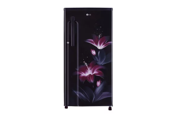 LG 188 L 3 Star Single Door Refrigerator (GL-B191KPGD.APGZEBN)