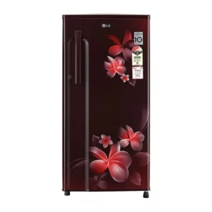 LG 188 L 3 Star Single Door Refrigerator with smart inverter compressor (GL-B191KSPX.ASPZEBN)