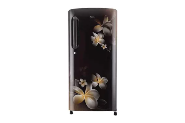 LG 190 L 3 Star Single Door Refrigerator (GL-B201AHPD.AHPZEBN)