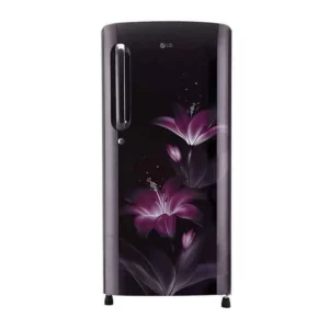 LG 190 L  Smart Inverter Compressor Single Door Refrigerator (GL-B201APGY.APGZEBN)