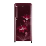 LG 190 L Single Door Refrigerator (GL-B201ARGY.ARGZEBN)