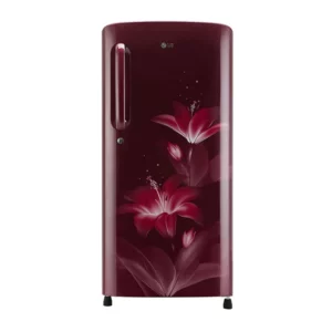 LG 190 L Single Door Refrigerator (GL-B201ARGY.ARGZEBN)