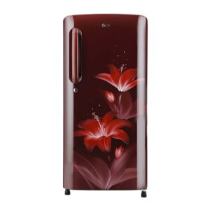 LG 190 L  5 Star Single Door Refrigerator with Smart Inverter compressor (GL-B201ARGZ.BRGZEBN)