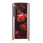 LG 190 L 5 Star Single Door Refrigerator with Smart Inverter Compressor (GL-B201ASCZ.BSCZEBN)