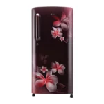 LG 190 L Single Door Refrigerator (GL-B201ASPY.ASPZEBN)