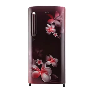 LG 190 L Single Door Refrigerator (GL-B201ASPY.ASPZEBN)