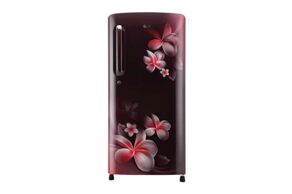 LG 190 L Single Door Refrigerator (GL-B201ASPY.ASPZEBN)
