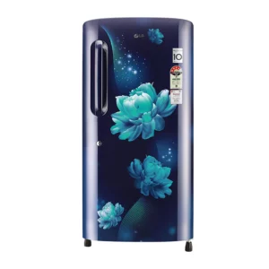 LG 215 L 4 Star Single Door Refrigerator with Smart inverter Compressor (GL-B221ABCY.DBCZEBN)