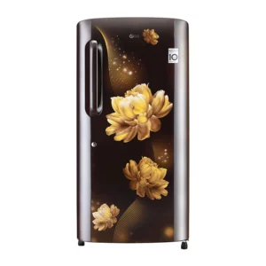 LG 215 L 4 Star Single Door Refrigerator with Smart Inverter Compressor (GL-B221AHCY.DHCZEBN)