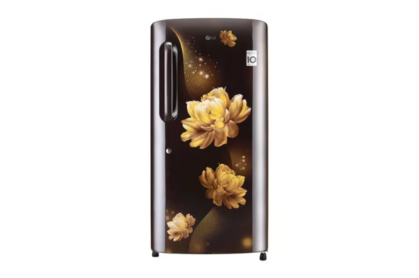 LG 215 L 4 Star Single Door Refrigerator with Smart Inverter Compressor (GL-B221AHCY.DHCZEBN)