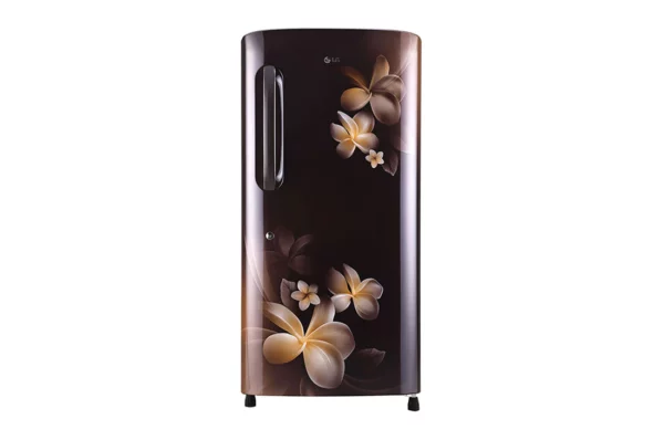 LG 215 L 4 Star Single Door Refrigerator Smart Inverter Compressor (GL-B221AHPY.DHPZEBN)