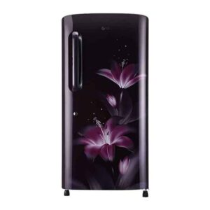 LG 215 L 4 Star Single Door Refrigerator (GL-B221APGY.DPGZEBN)