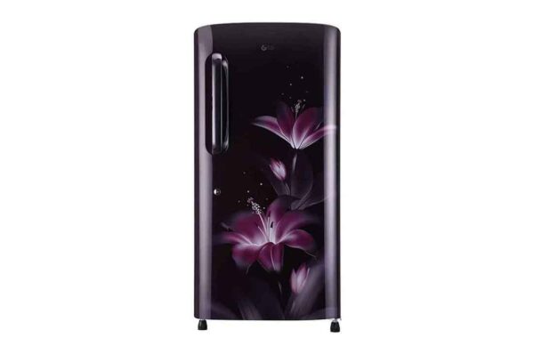 LG 215 L 4 Star Single Door Refrigerator (GL-B221APGY.DPGZEBN)