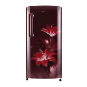 LG 215 L Single Door Refrigerator with Smart Inverter Compressor (GL-B221ARGY.DRGZEBN)