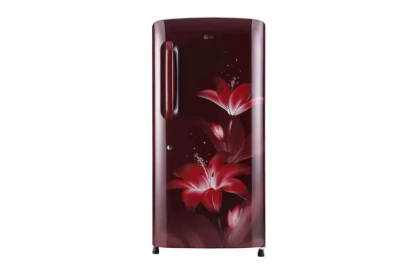 LG 215 L Single Door Refrigerator with Smart Inverter Compressor (GL-B221ARGY.DRGZEBN)