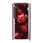 LG 215 L 4 Star Single Door Refrigerator with Smart Inverter Compressor (GL-B221ASCY.DSCZEBN)