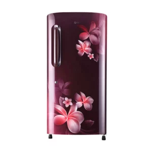 LG 215 L 3 Star Direct-Cool Single Door Refrigerator (GL-B221ASPD.DSPZEBN)