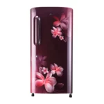 LG 215 L Inverter Direct-Cool Single Door Refrigerator (GL-B221ASPY.DSPZEBN)