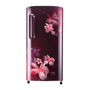 LG 215 L Inverter Direct-Cool Single Door Refrigerator (GL-B221ASPY.DSPZEBN)