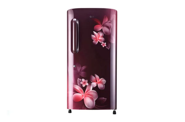 LG 215 L Inverter Direct-Cool Single Door Refrigerator (GL-B221ASPY.DSPZEBN)