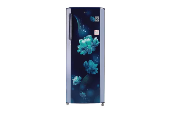 LG 270 L 3 Star Inverter Direct-Cool Single Door (GL-B281BBCX.DBCZEBN)
