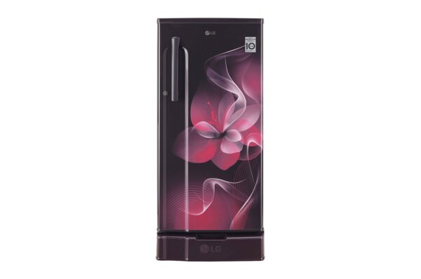 LG 188L Smart Inverter Compressor Refrigerator (GL-D191KPDX.APDZEBN)