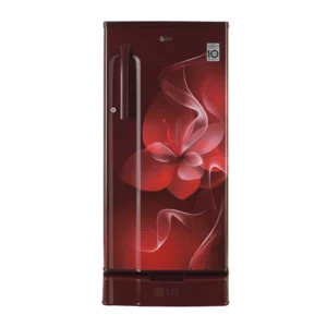 LG 188 L Inverter Direct-Cool Smart Inveerter Compressor Refrigerator (GL-D191KSDX.ASDZEBN)