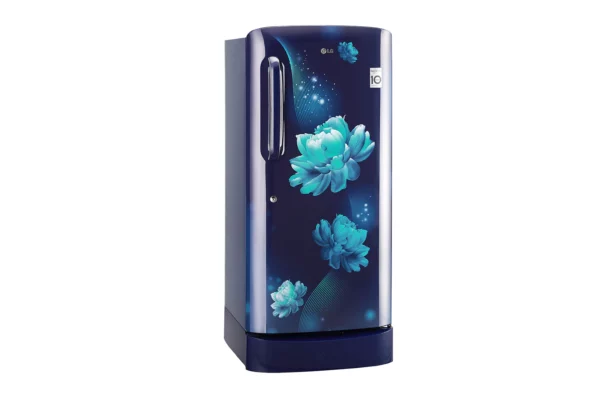 LG 190L 4 Star Inverter Compressor Fridge (GL-D201ABCY.ABCZEBN)