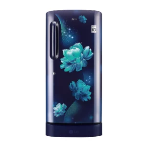 LG 190 L 5 Star Inverter Direct-Cool Refrigerator (GL-D201ABCZ.BBCZEBN)