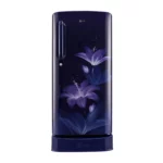 LG 190 L 4 Star Inverter Direct-Cool Single Door Fridge (GL-D201ABGY.ABGZEBN)
