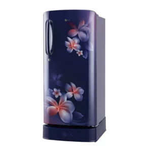 LG 190 L 3 Star Direct Cool Single Door Refrigerator (GL-D201ABPX.ABPZEBN)