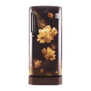 LG 190 L 4 Star with Inverter Single Door Refrigerator (GL-D201AHCY.AHCZEBN)