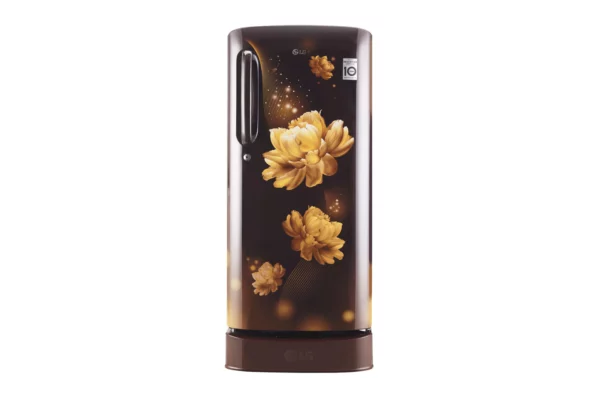 LG 190 L 4 Star with Inverter Single Door Refrigerator (GL-D201AHCY.AHCZEBN)