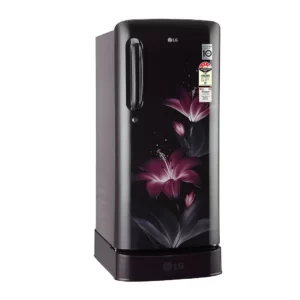 LG 190L 5 Star Smart Inverter Compressor Fridge (GL-D201APGZ.BPGZEBN)
