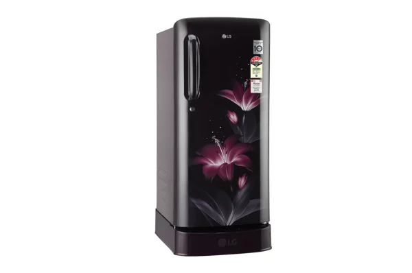 LG 190L 5 Star Smart Inverter Compressor Fridge (GL-D201APGZ.BPGZEBN)