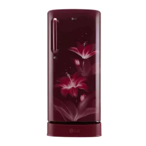 LG 190 L 4 Star Inverter Direct-Cool Single Door Refrigerator (GL-D201ARGY.ARGZEBN)
