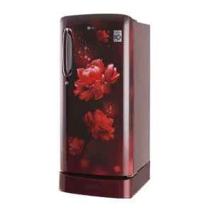 LG 190 L 4 Star Inverter Direct-Cool Single Door Fridge (GL-D201ASCY.ASCZEBN)