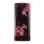 LG 190 litres 4 Star Single Door Scarlet Plumeria Refrigerator (GL-D201ASPY.ASPZEBN)