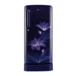 LG 215 L Direct Cool Single Door 3 Star Refrigerator (GL-D221ABGD.DBGZEBN)