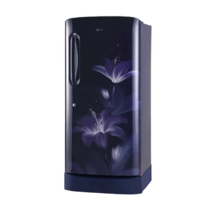 LG 215 L Inverter Compressor Direct Cool Single Door Refrigerator (GL-D221ABGY.DBGZEBN)